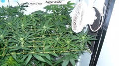 drobes 03 07 23 001