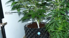 drobes 03 07 23 005