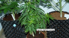 drobes 03 07 23 007