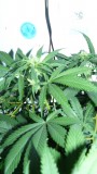 drobes 03 07 23 010