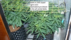 drobes 03 07 23 036