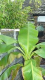 drobes 03 07 23 038