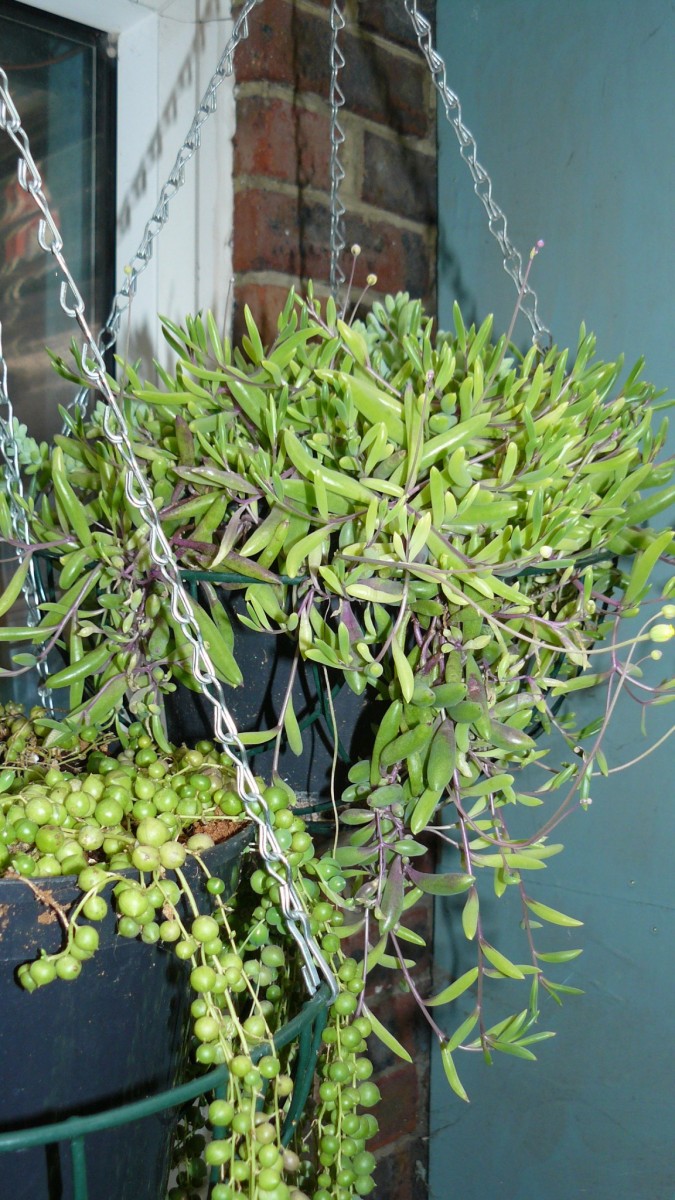 drobes 03 07 23 039