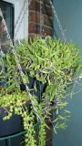 drobes 03 07 23 039