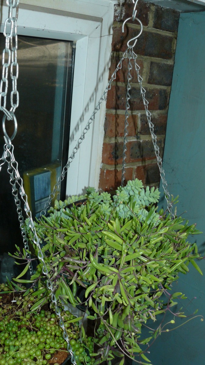 drobes 03 07 23 040