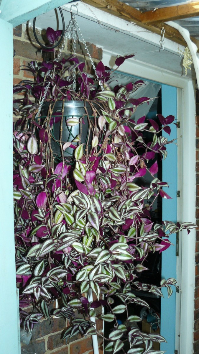 drobes 03 07 23 041