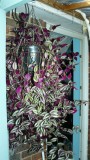 drobes 03 07 23 041