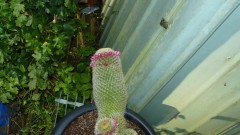 drobes 03 07 23 043
