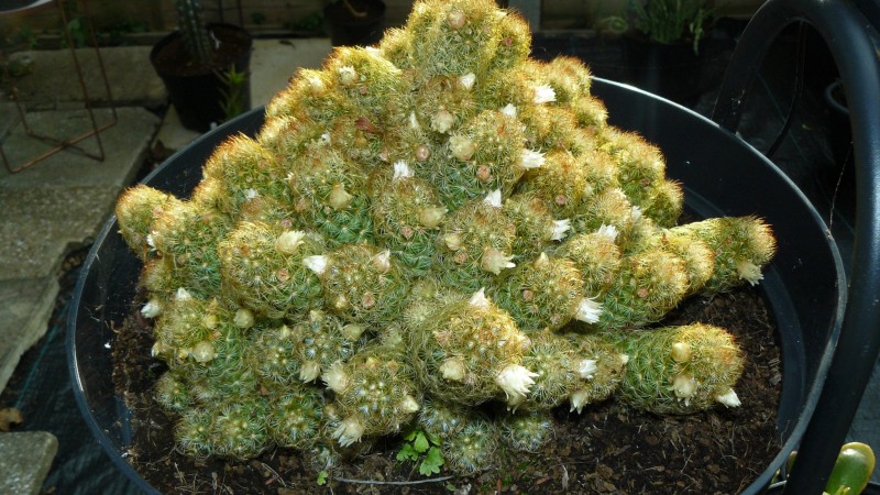 drobes 03 07 23 044