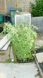 drobes 03 07 23 045