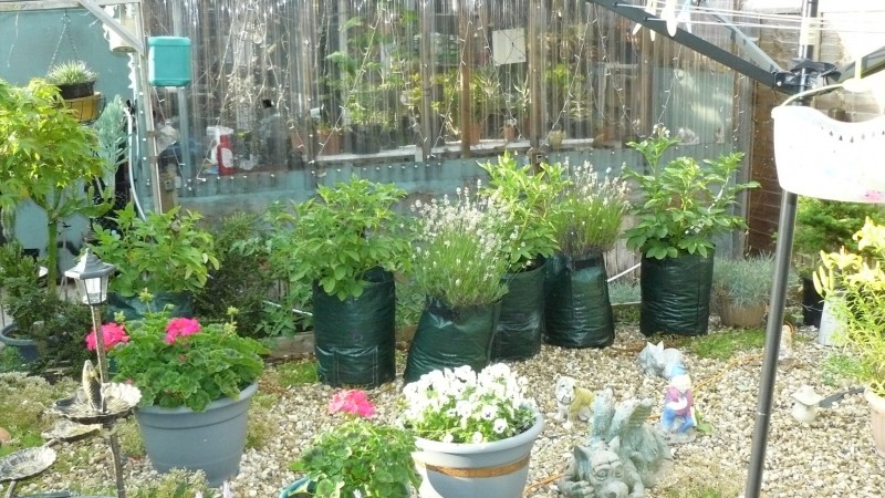 drobes 03 07 23 048