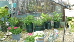 drobes 03 07 23 048