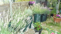 drobes 03 07 23 049