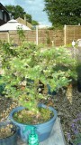 drobes 03 07 23 050