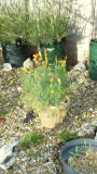 drobes 03 07 23 051