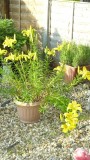 drobes 03 07 23 052