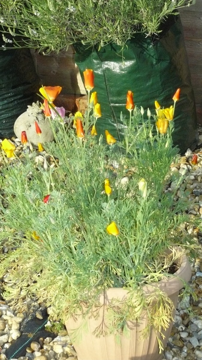 drobes 03 07 23 053