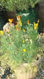 drobes 03 07 23 053