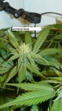 drobes 11 07 23 010