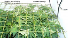 drobes 11 07 23 018