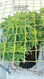 drobes 11 07 23 021