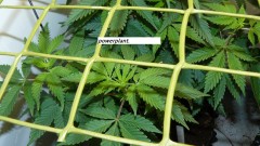 drobes 11 07 23 022
