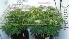 drobes 11 07 23 023