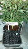 drobes 11 07 23 027