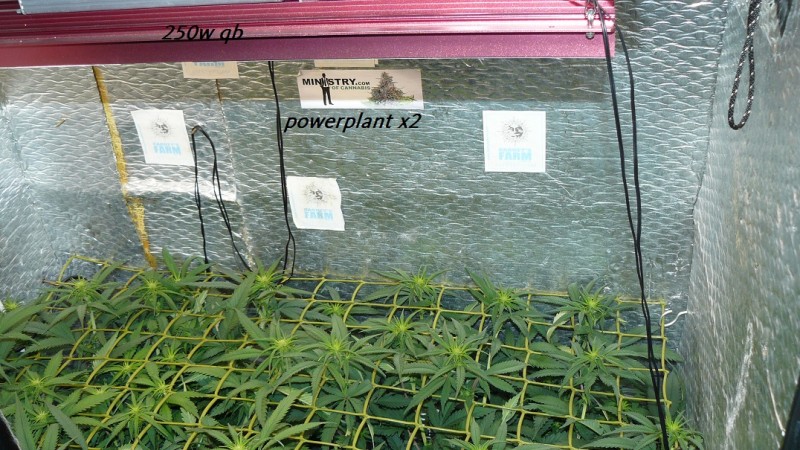 drobes 11 07 23 032