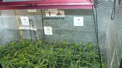 drobes 11 07 23 032