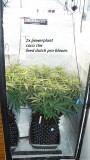 drobes 11 07 23 034