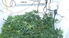 drobes 22 7 23 027