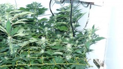 drobes 010823 017