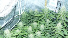 drobes 010823 021