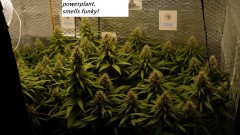 drobes 09 08 23 010