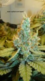 drobes 09 08 23 023