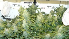drobes 09 08 23 036