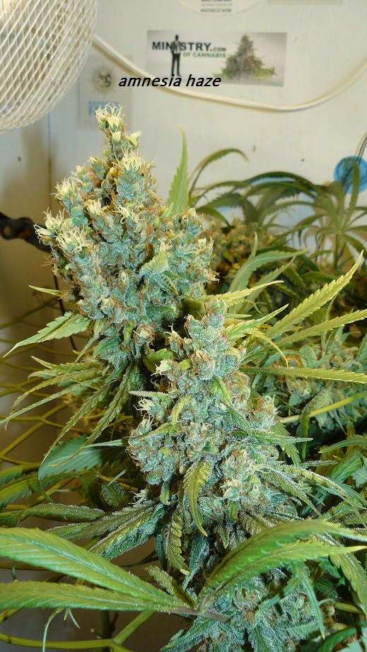 drobes 24 08 23 003