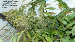 drobes 24 08 23 008