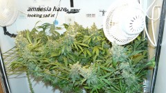drobes 24 08 23 010