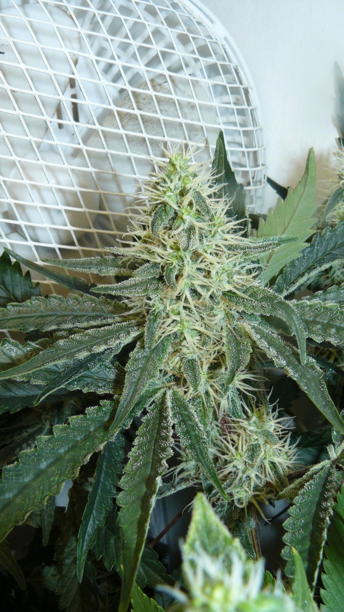 drobes 24 08 23 021