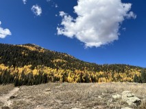 IMG_2077