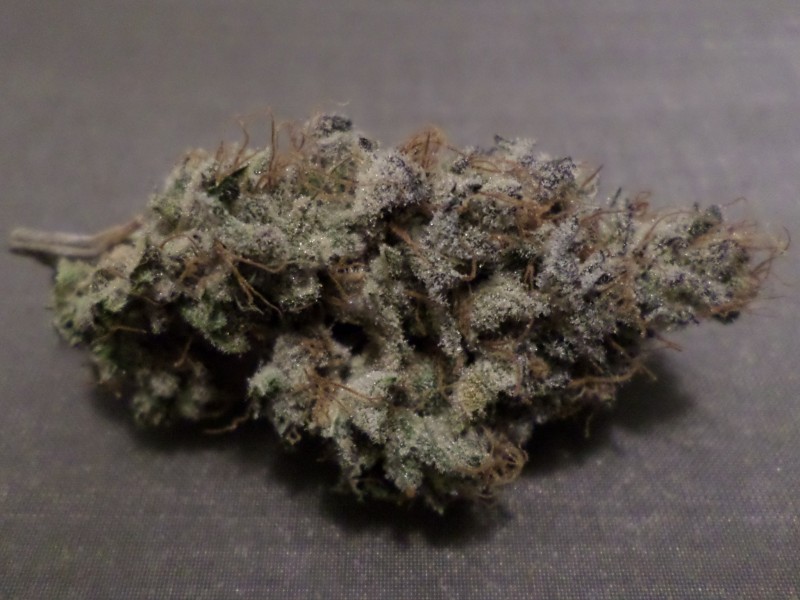 tropicozz2nug