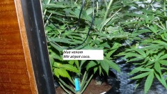 drobes 030324 014