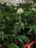 C421ECD2-46ED-4BA8-BC39-2506D69FE549