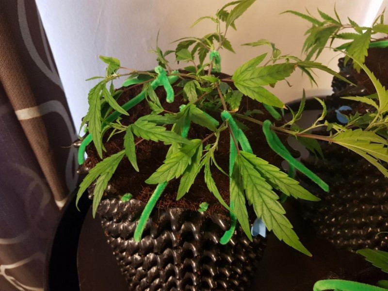 IMG-20180112-_WA0065