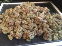 Peyote cookies