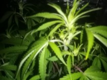 IMG_20191207_082611
