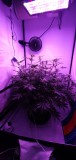 IMG-20200110-WA0007