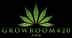 logo resize